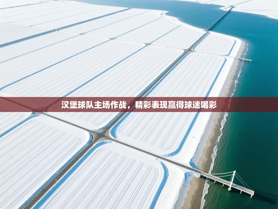 汉堡球队主场作战,精彩表现赢得球迷喝彩 第1张