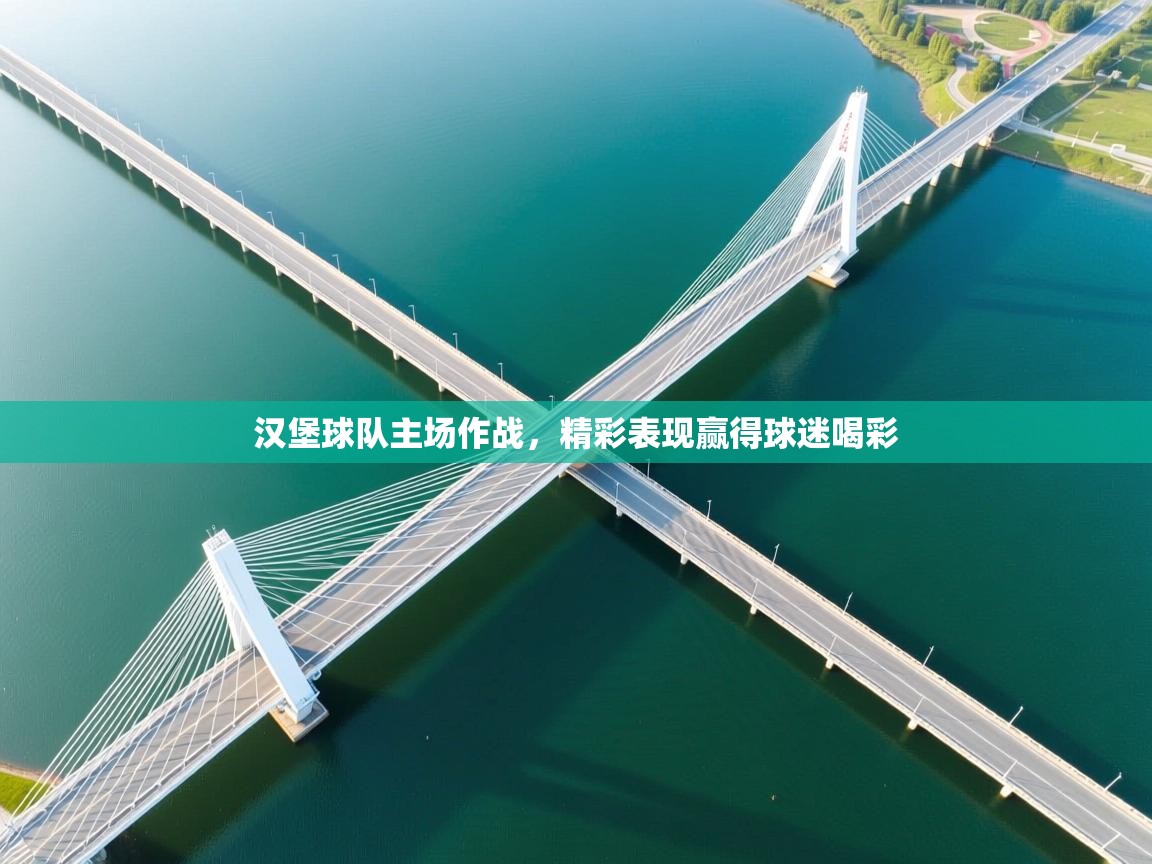 汉堡球队主场作战,精彩表现赢得球迷喝彩 第2张