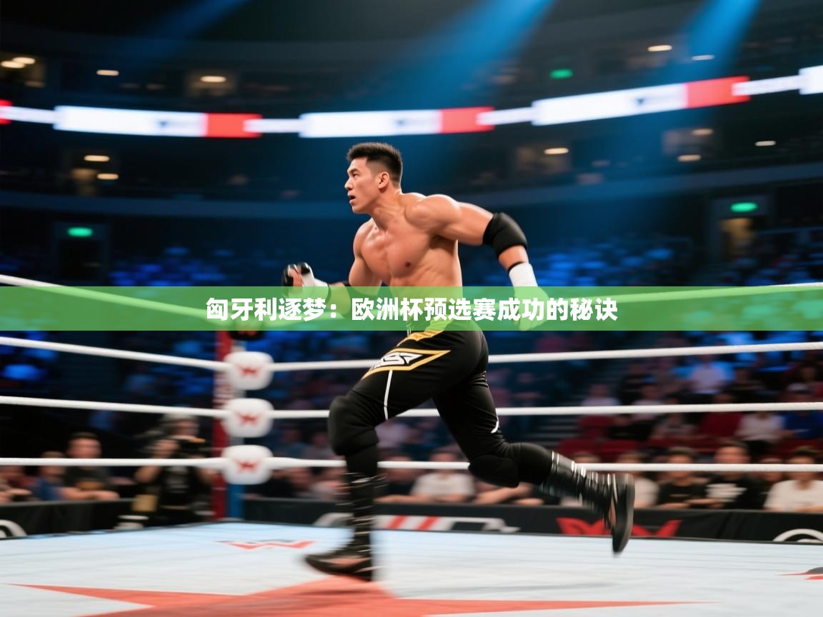 匈牙利逐梦：欧洲杯预选赛成功的秘诀  第1张