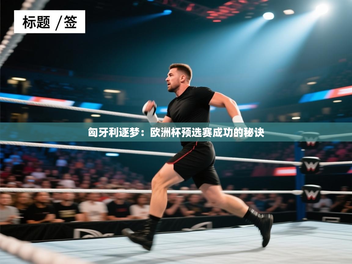 匈牙利逐梦：欧洲杯预选赛成功的秘诀  第2张