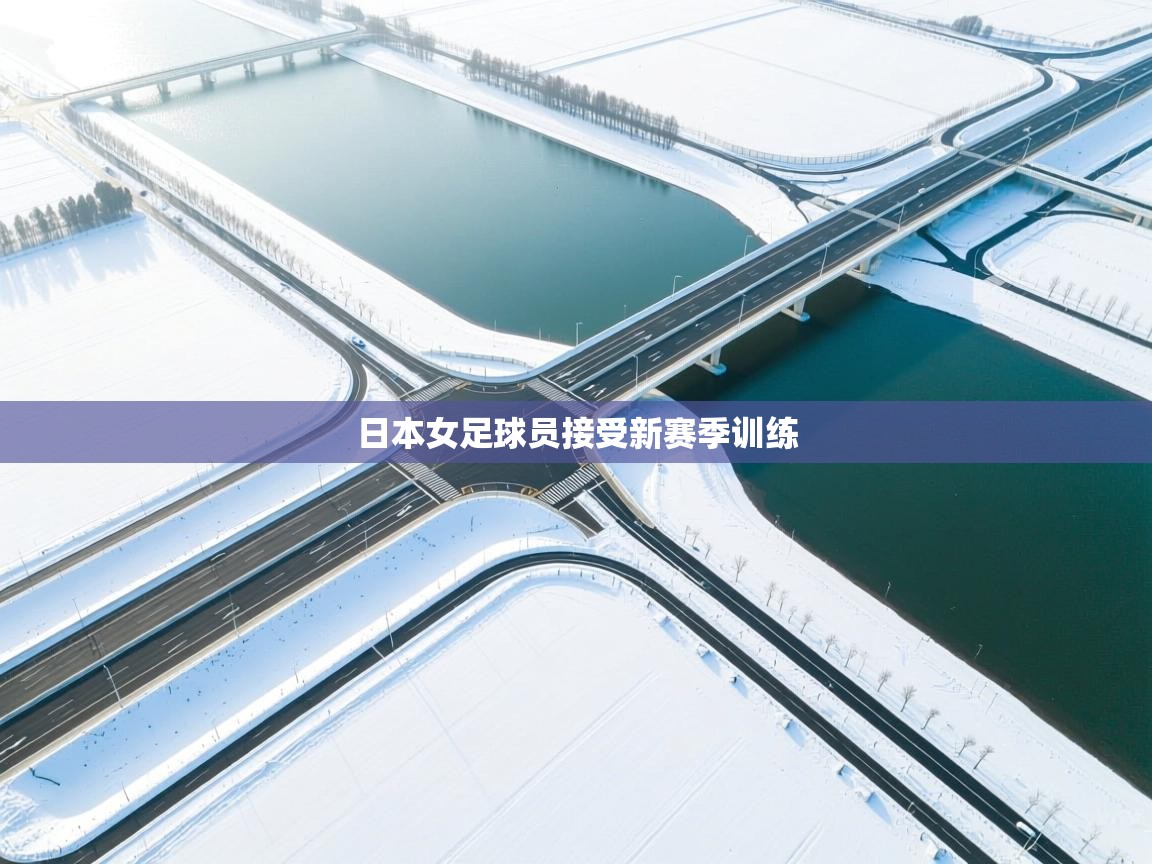 日本女足球员接受新赛季训练  第1张