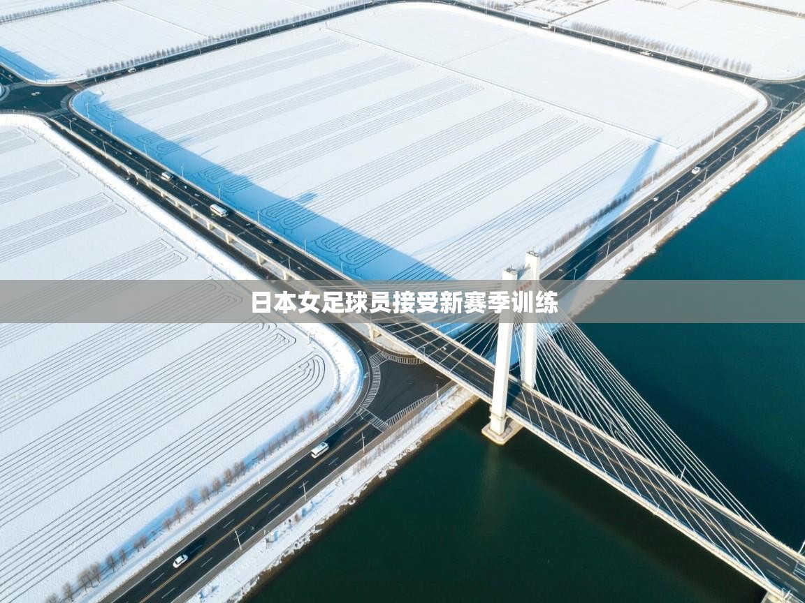 日本女足球员接受新赛季训练  第2张