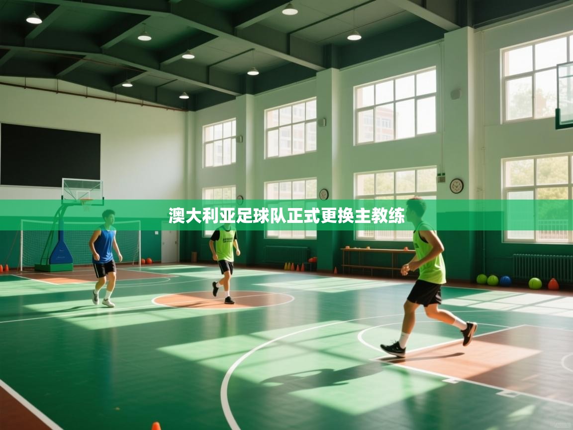 澳大利亚足球队正式更换主教练  第1张