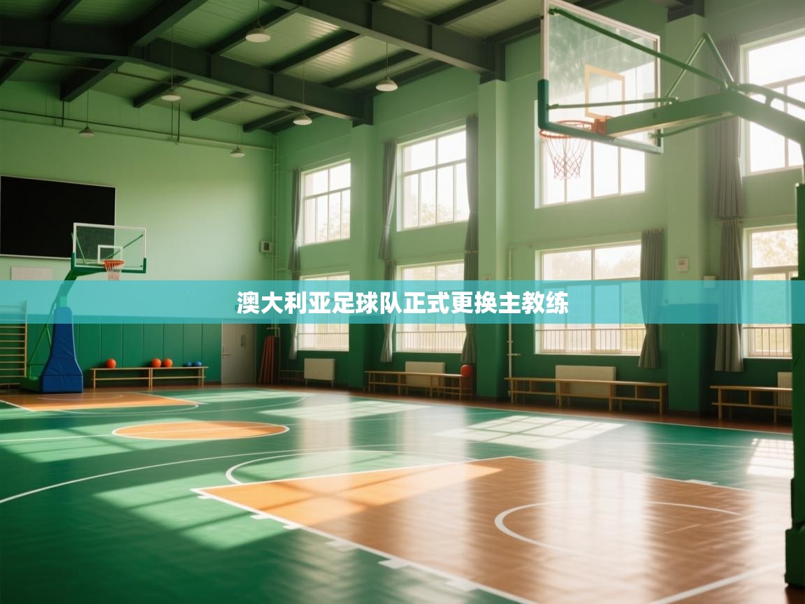 澳大利亚足球队正式更换主教练  第2张