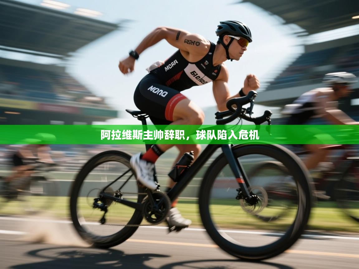 阿拉维斯主帅辞职，球队陷入危机  第1张