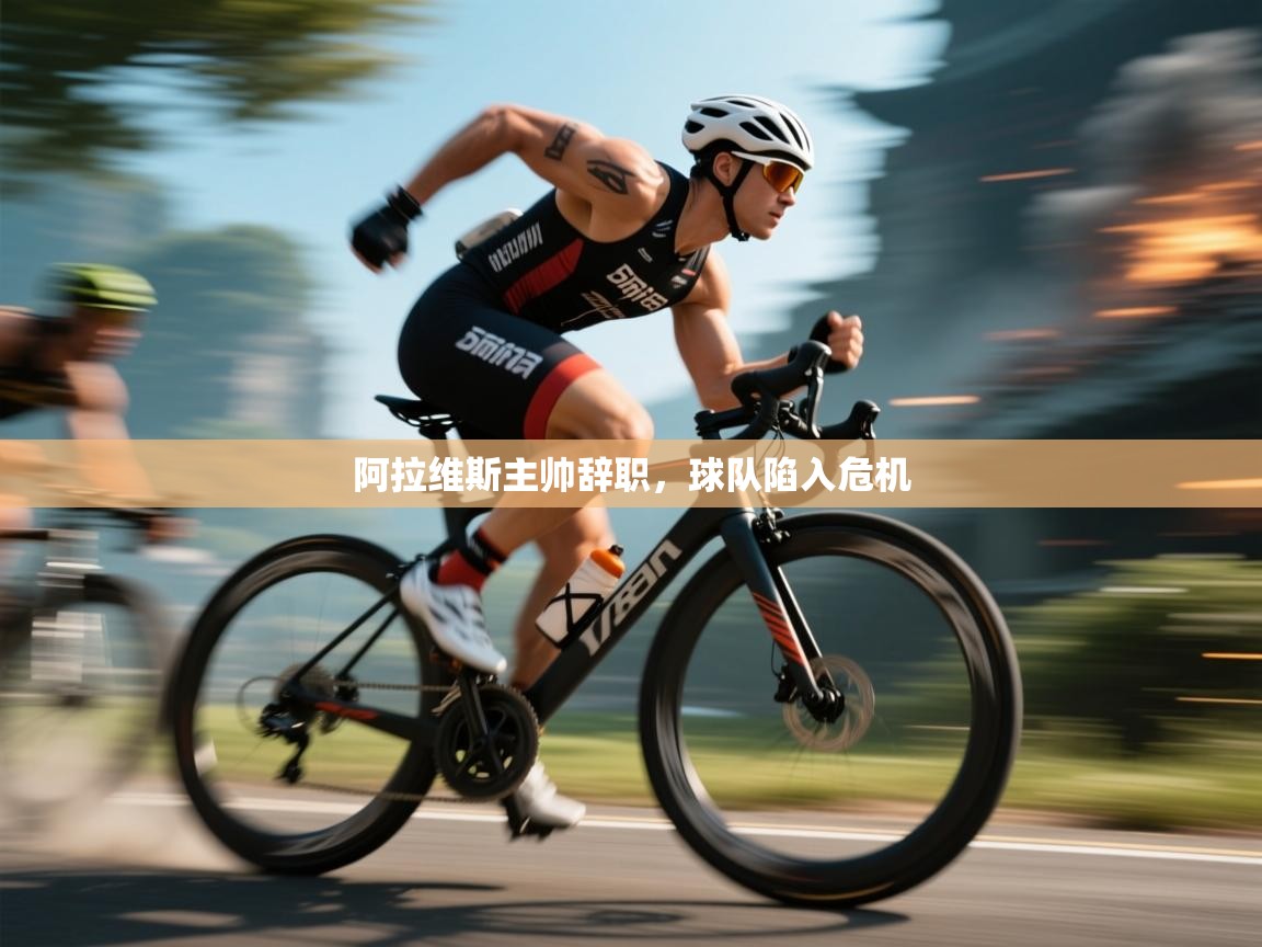 阿拉维斯主帅辞职，球队陷入危机  第2张