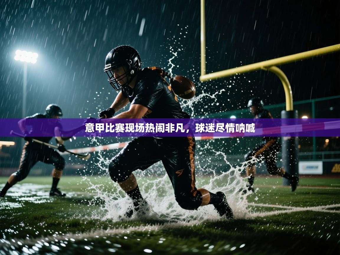 意甲比赛现场热闹非凡,球迷尽情呐喊 第1张