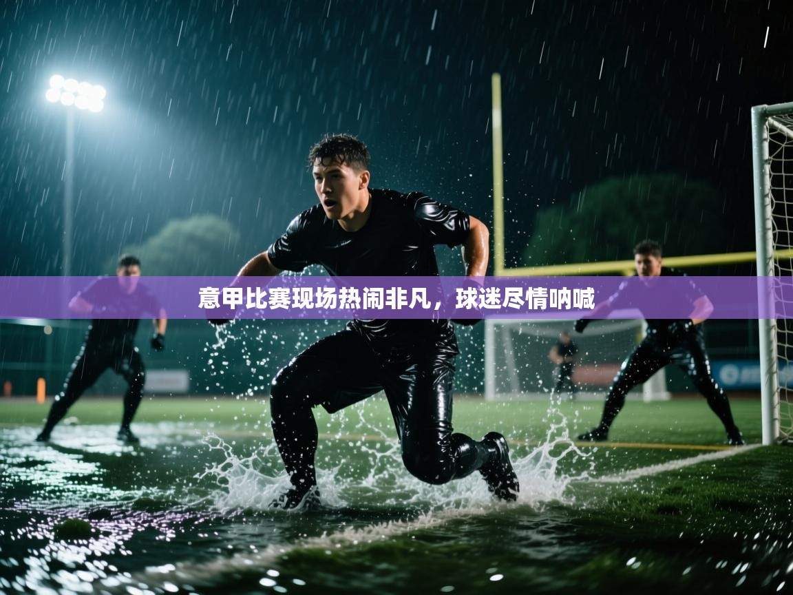 意甲比赛现场热闹非凡,球迷尽情呐喊 第2张