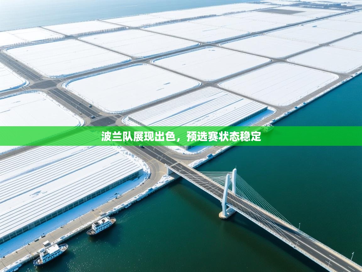 波兰队展现出色，预选赛状态稳定  第1张