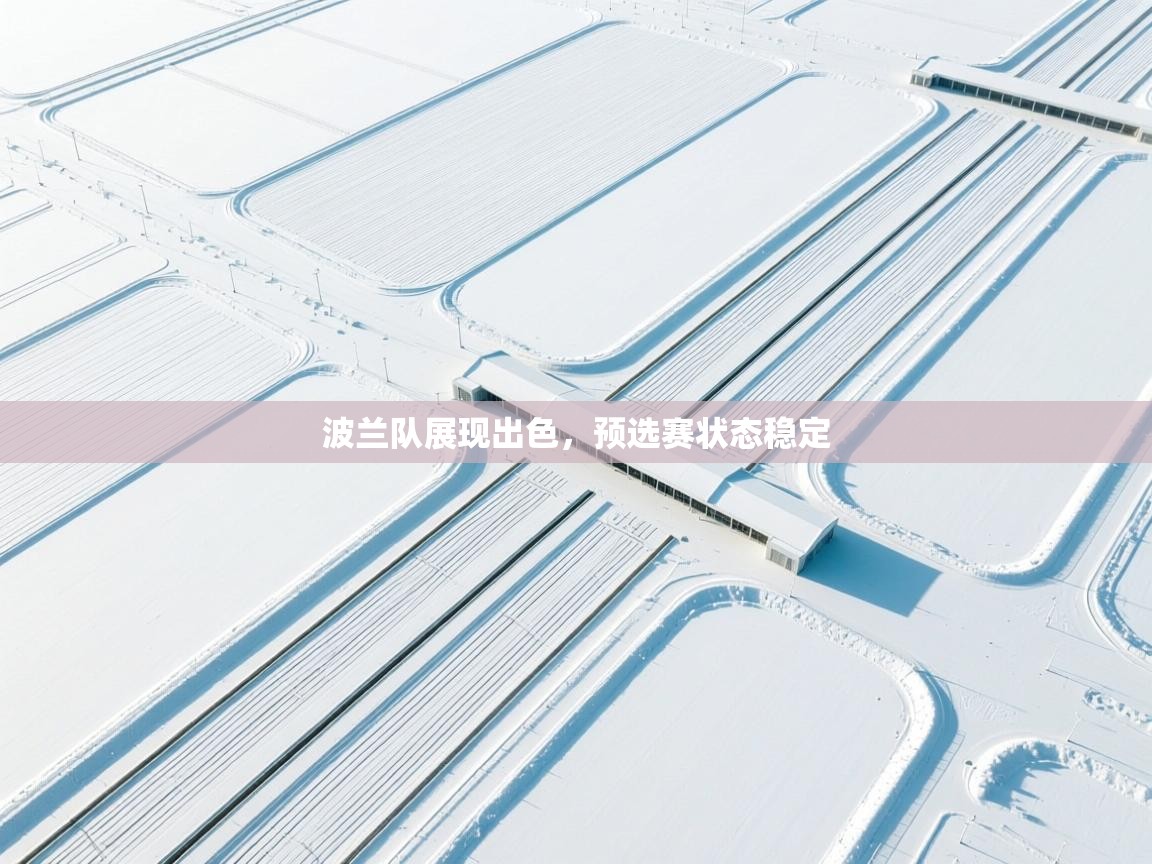 波兰队展现出色，预选赛状态稳定  第2张