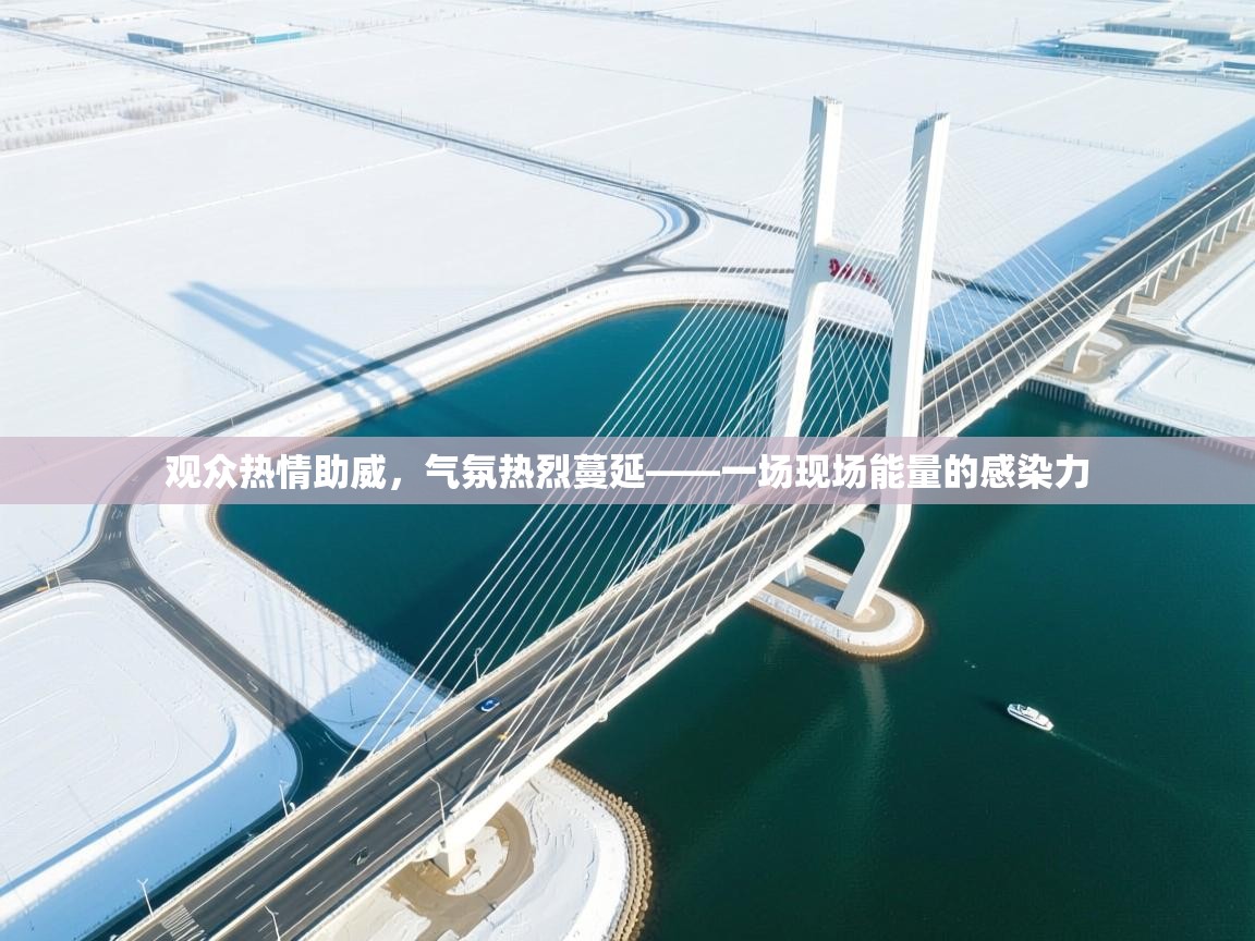 观众热情助威,气氛热烈蔓延——一场现场能量的感染力 第2张